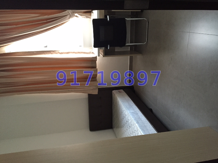 Jalan Tani (D19), Terrace #31357042